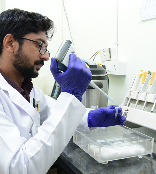 Research & Innovation